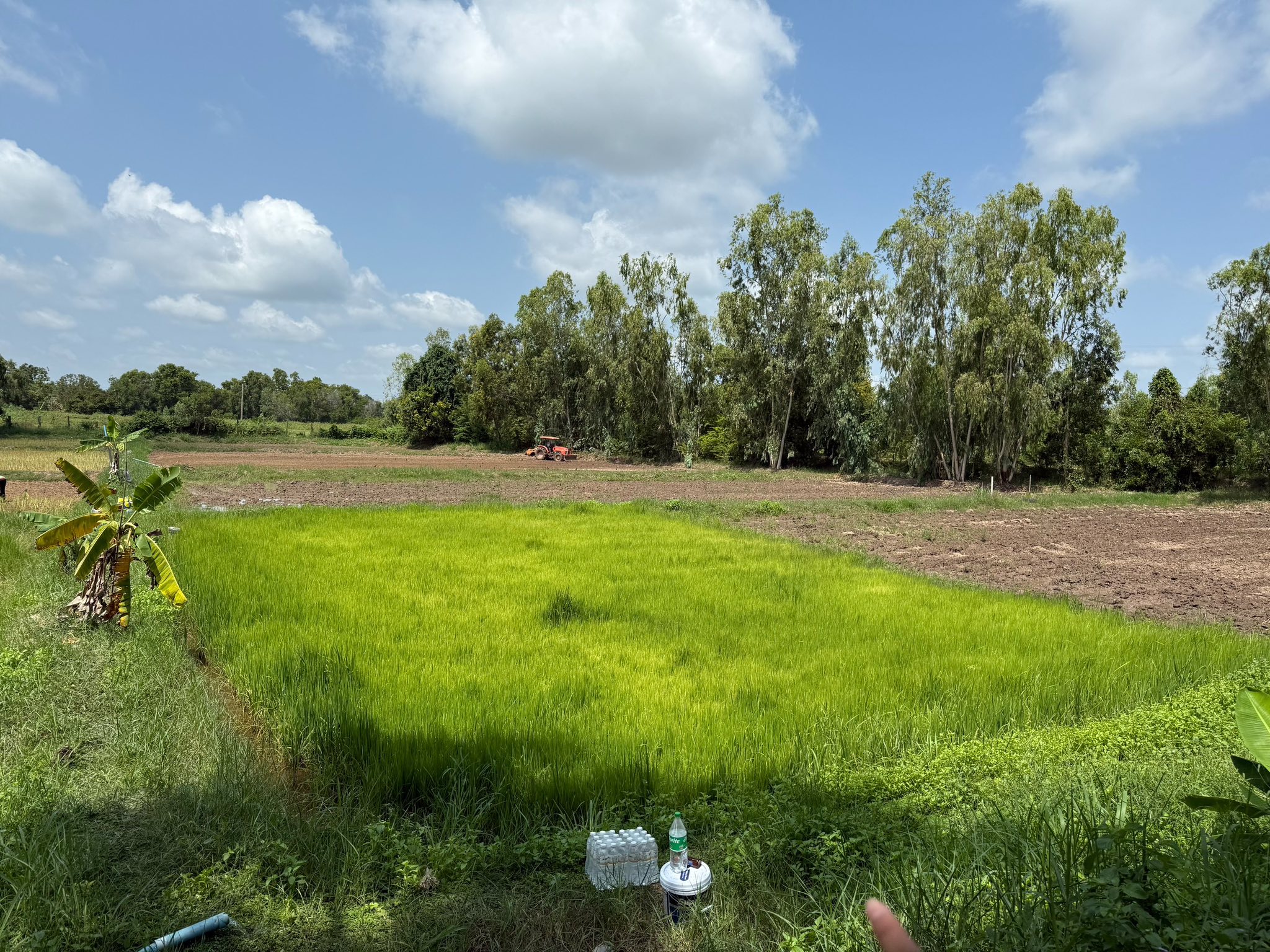 kon tamna 2568 2